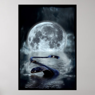Chinese Year of the Snake Water Snake Black Snake Poster