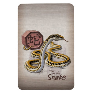 Chinese Zodiac Year of the Snake Art Magnet