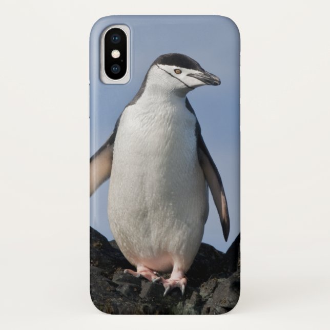 Chinnie iPhone X Case (Back)