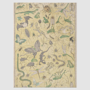 Chinoiserie Japanese Bug & Insect Nature Poster Tissue Paper