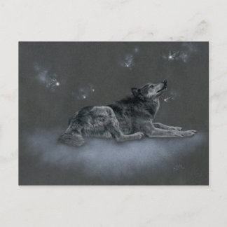 Chinook aux Fées Postcard