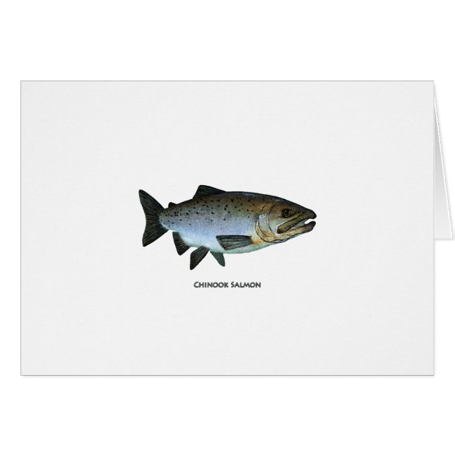 Chinook - King Salmon (Front Horizontal)