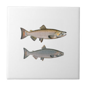 Chinook - King Salmon (spawning phase) Tile