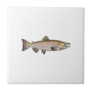 Chinook - King Salmon (spawning phase) Tile