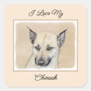 Chinook (Pointed Ears) Painting - Original Dog Art Square Sticker