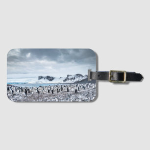 Chinstrap Penguin Colony Landscape Luggage Tag
