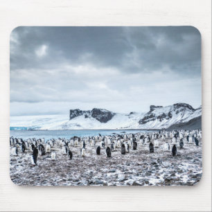 Chinstrap Penguin Colony Landscape Mouse Mat