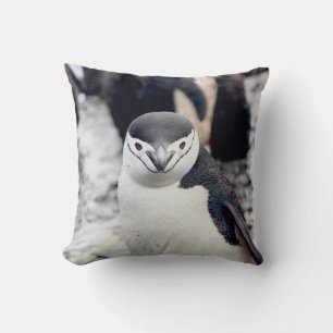 CHINSTRAP PENGUIN CUSHION