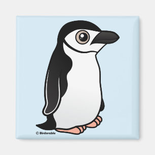 Chinstrap Penguin Magnet