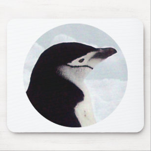 Chinstrap Penguin Portrait Mouse Mat