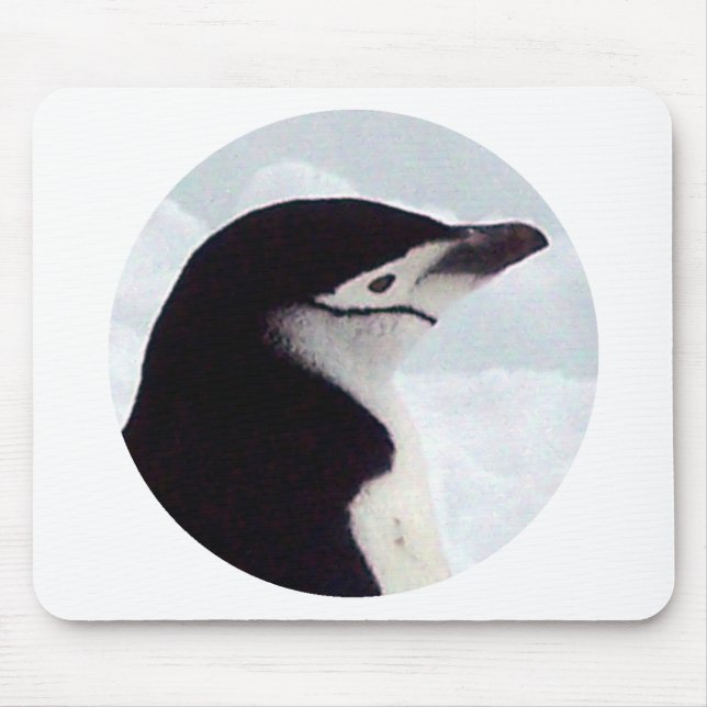 Chinstrap Penguin Portrait Mouse Mat (Front)