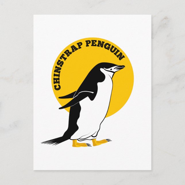 Chinstrap penguin postcard (Front)