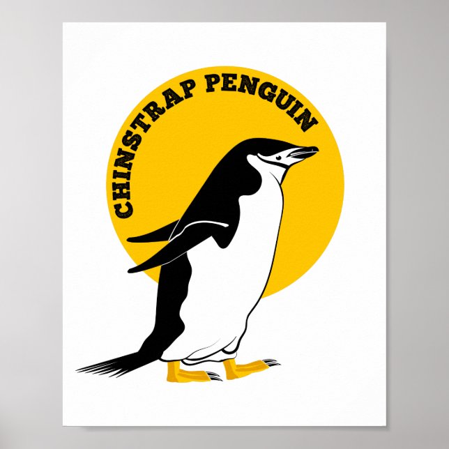 Chinstrap penguin poster (Front)