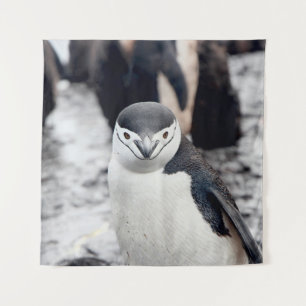 CHINSTRAP PENGUIN TAPESTRY