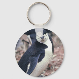 Chinstrap Penguin with Baby Key Ring