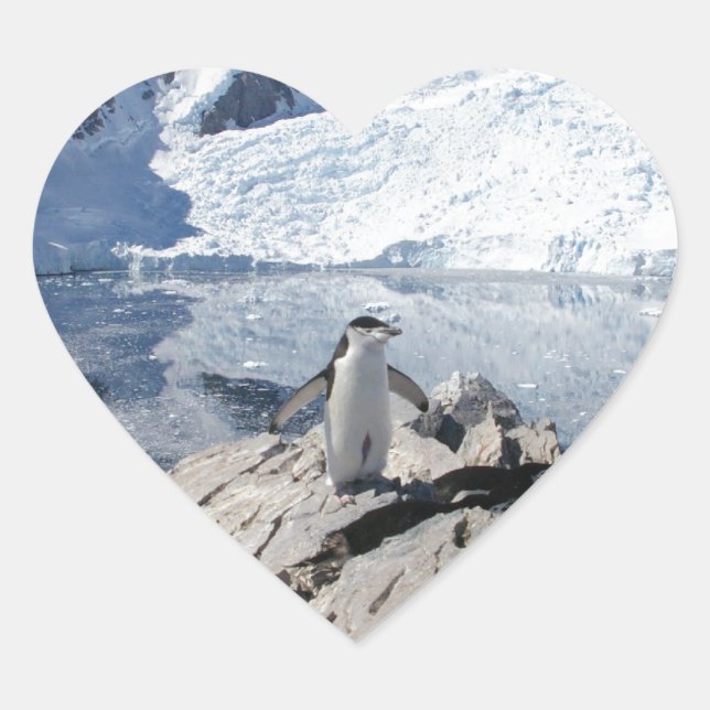 Chinstrap Penguins in Antarctica Heart Sticker (Front)