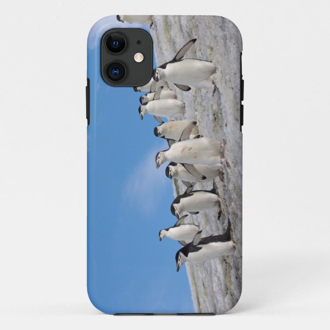 Chinstrap Penguins | Pygoscelis Antarctica Case-Mate iPhone Case (Back)