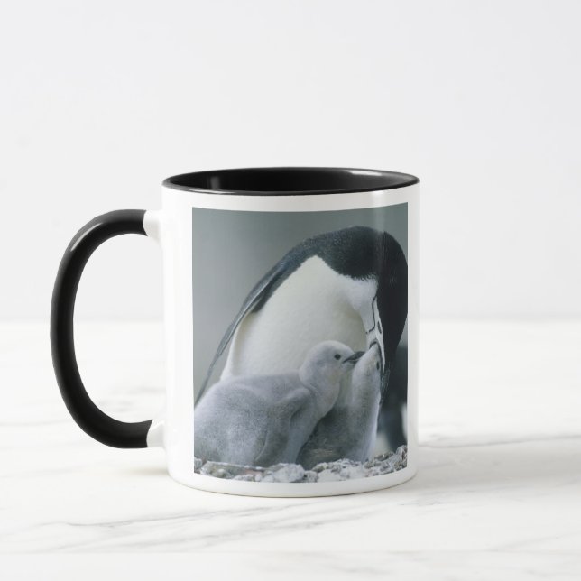 Chinstrap Penguins, Pygoscelis antarctica), Mug (Left)