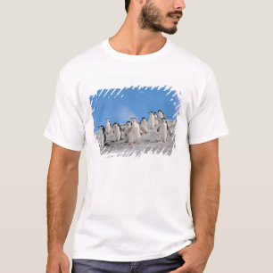 Chinstrap Penguins   Pygoscelis Antarctica T-Shirt