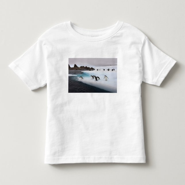 Chinstrap Penguins Toddler T-Shirt (Front)