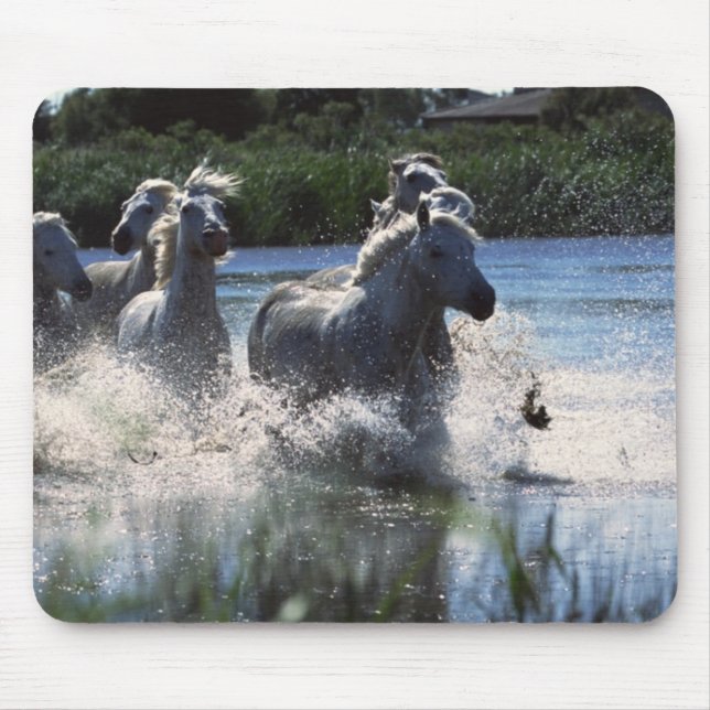 Chintoteague Ponies Crossing Channel Mouse Mat (Front)