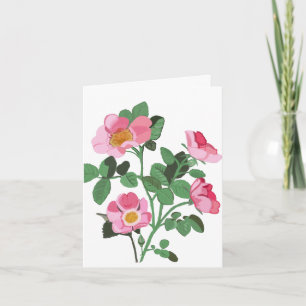 Chintzy Dark Pink Wild Rose Blank Card