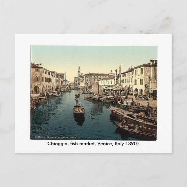 Chioggia, fish market, Venice, Italy 18... Postcard (Front)