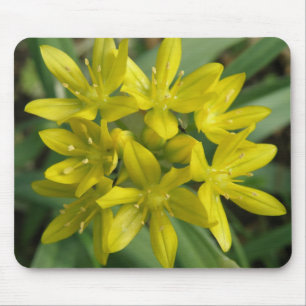 Chionodoxa Mousepad