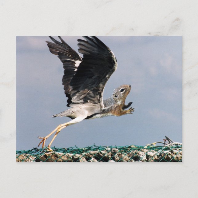 Chipheron Postcard (Front)