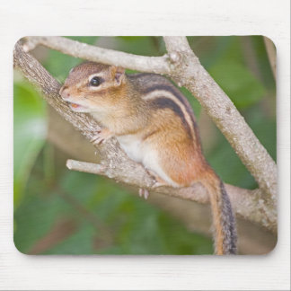 Chipmonk Mouse Mat
