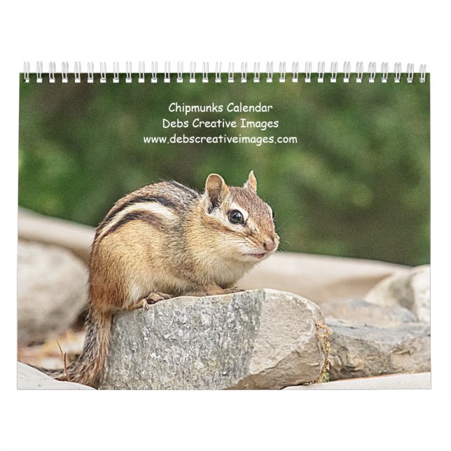 Chipmunk 2026 calendar (Cover)