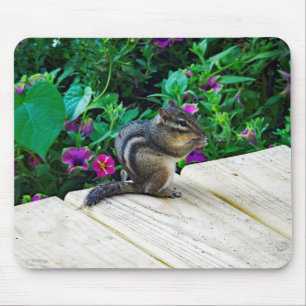 Chipmunk 224 Mouse Pad