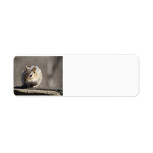 Chipmunk address label
