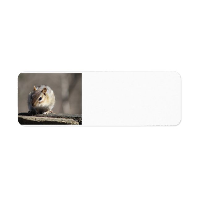 Chipmunk address label (Front)