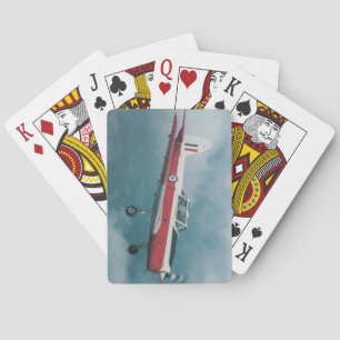 chipmunk airplane playing cards