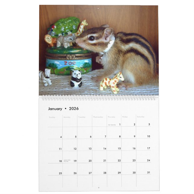 chipmunk (All country) Calendar (Jan 2026)