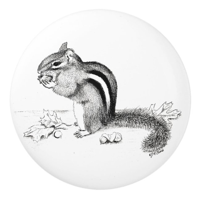 Chipmunk and Acorns Ceramic Knob (Front)
