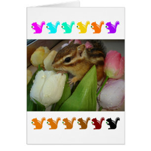 Chipmunk and flower (pohto) type-5