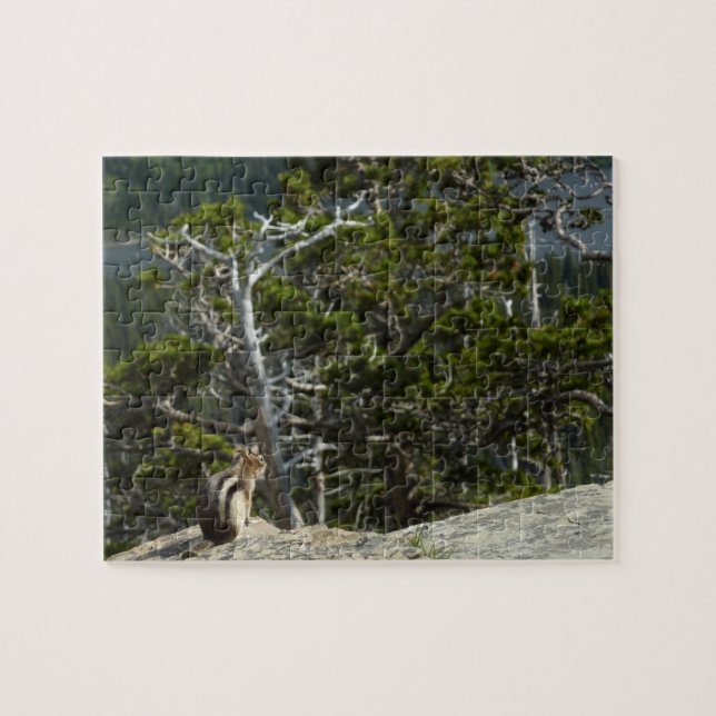 Chipmunk at Two Medicine Lake Overlook Jigsaw Puzzle (Horizontal)
