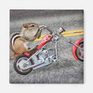 Chipmunk Biker Riding a Motorcycle Magnet