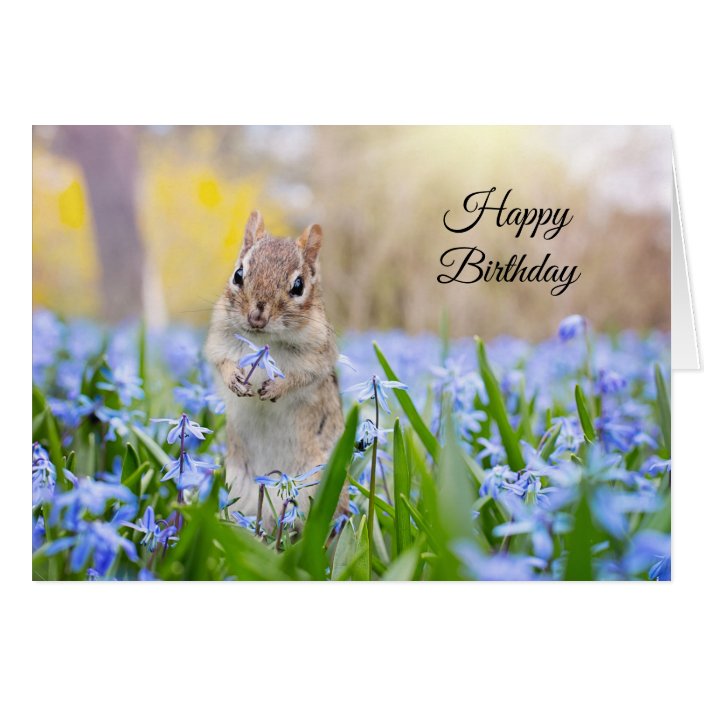 Chipmunk Birthday Card | Zazzle.co.uk