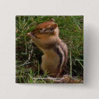 Chipmunk -Button 15 Cm Square Badge