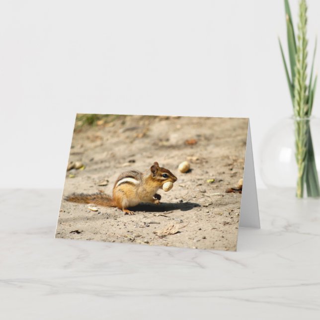 Chipmunk  card (Front)