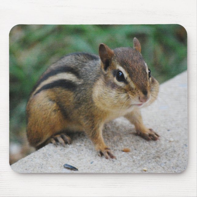 Chipmunk Cheeks Mouse Mat (Front)