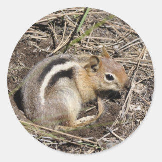 Chipmunk Classic Round Sticker