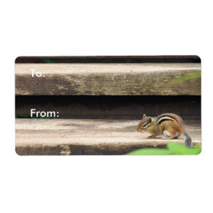 Chipmunk Climbing Stairs