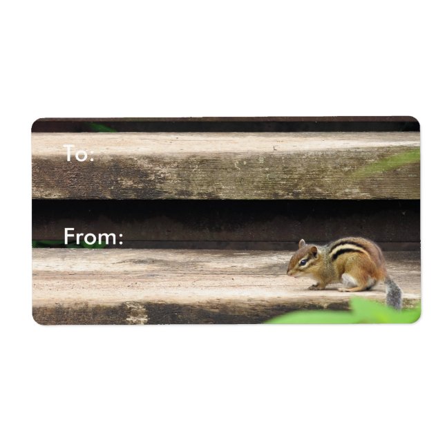 Chipmunk Climbing Stairs (Front)