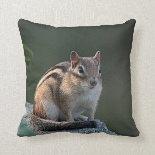 Chipmunk Cushion