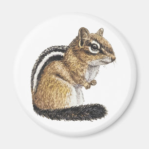 Chipmunk Cutie Magnet