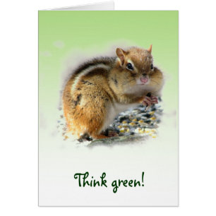 Chipmunk Earth Day